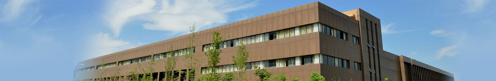 关于zoty中欧